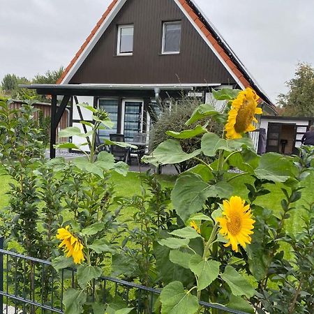 Ferienhaus Kiebitz Dorumer Neufeld Buitenkant foto